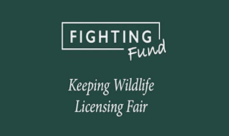 Fighting Fund Logo